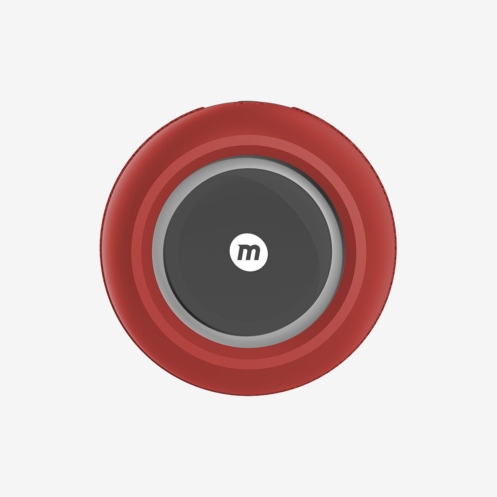 Intune Plus Portable Wireless Speaker