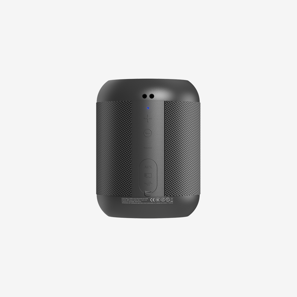 Intune Portable Wireless Speaker