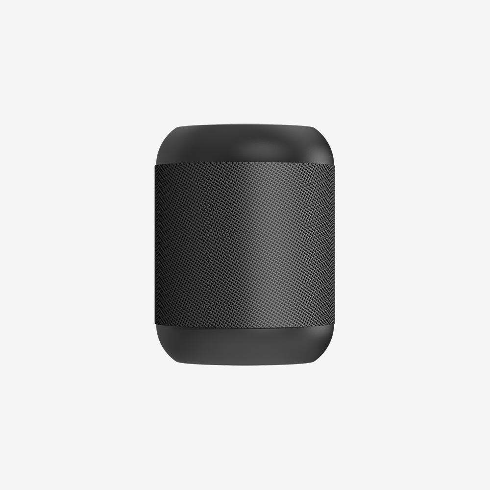 Intune Portable Wireless Speaker