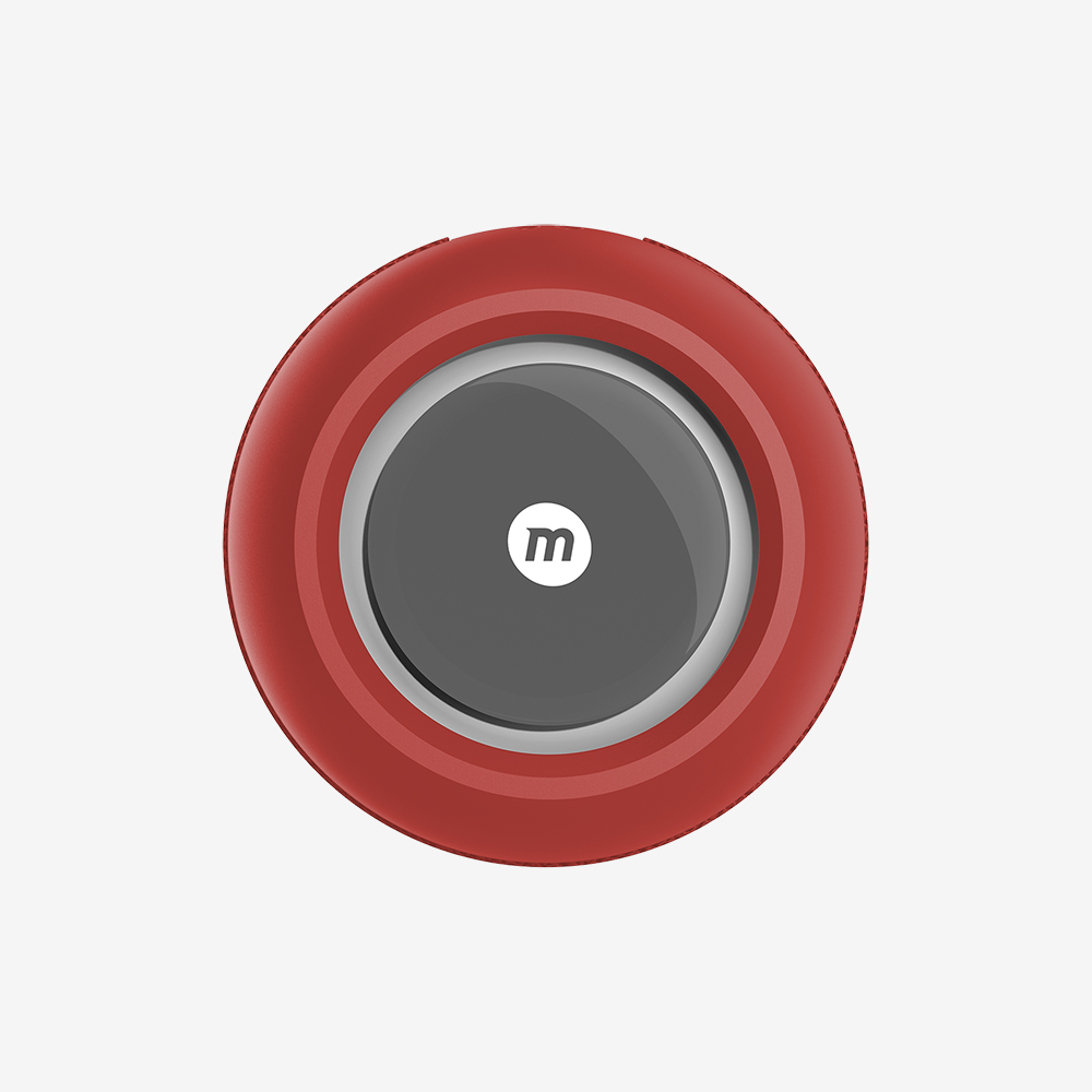 Intune Portable Wireless Speaker