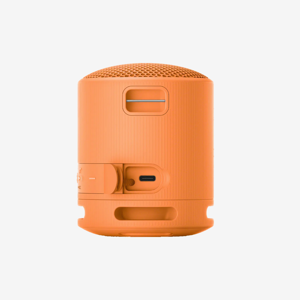 SRS-XB100 Portable Speaker