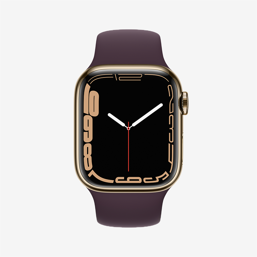 Watch Series 7 GPS + Cellular Stainless Steel Sport Band