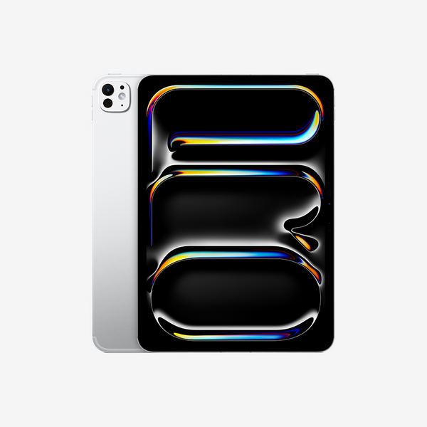 iPad Pro 11-inch Wi-Fi + Cellular M5