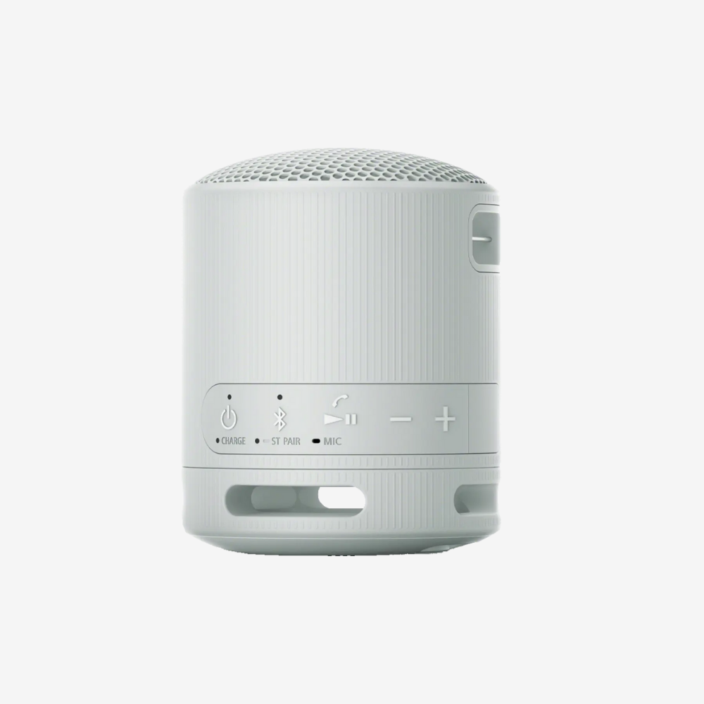 SRS-XB100 Portable Speaker