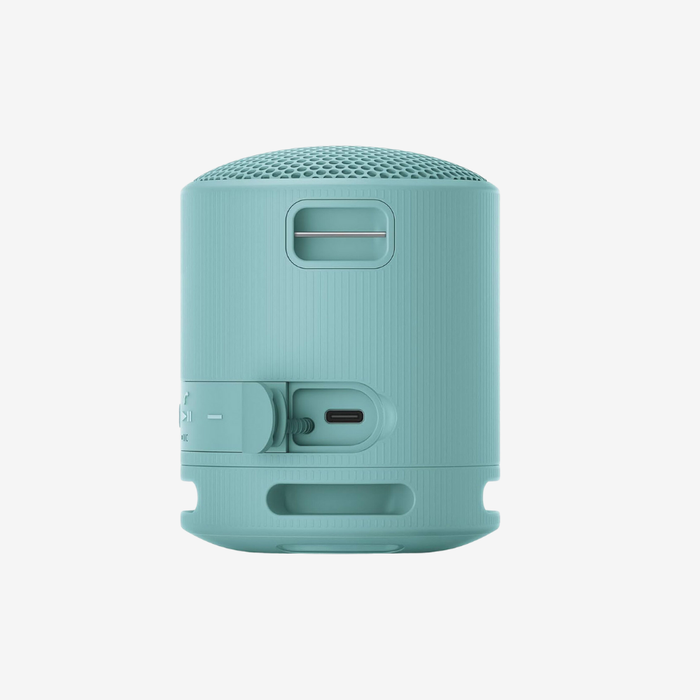 SRS-XB100 Portable Speaker