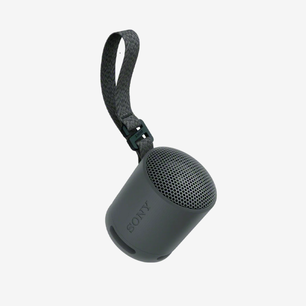 SRS-XB100 Portable Speaker