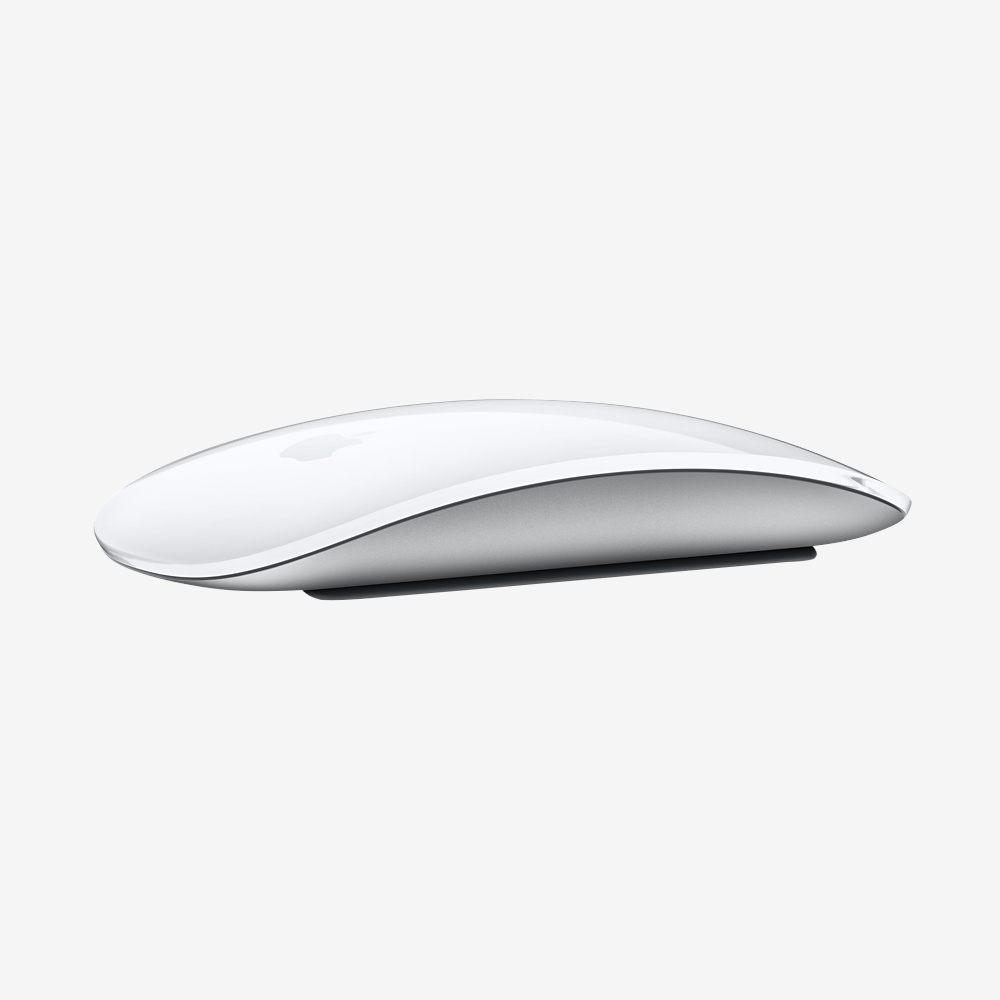 Magic Mouse (2021)