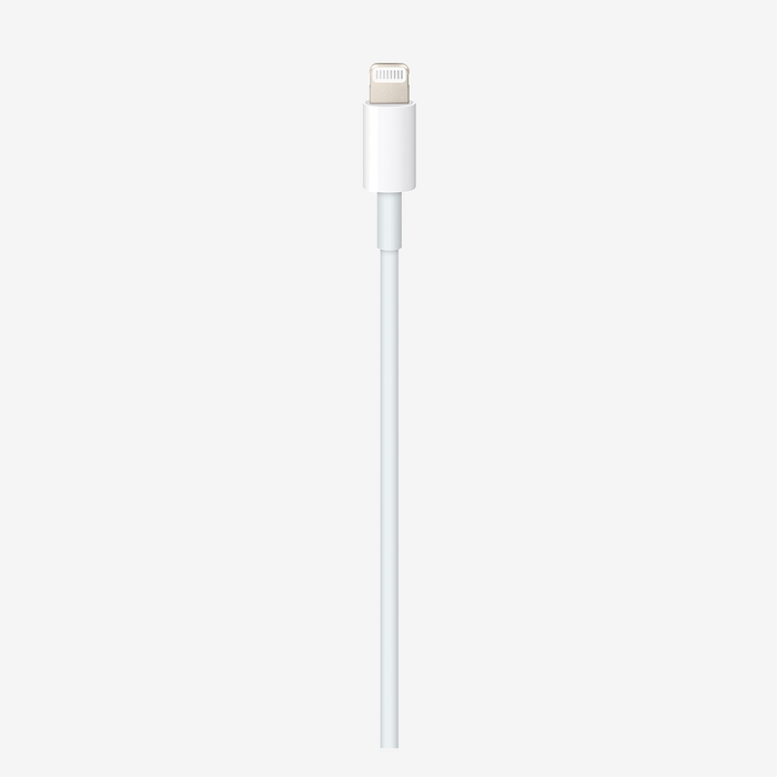 USB-C to Lightning Cable - Main Image